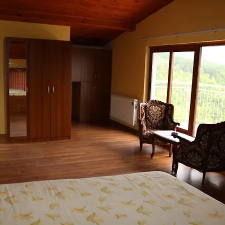 Hotel Arda 3*